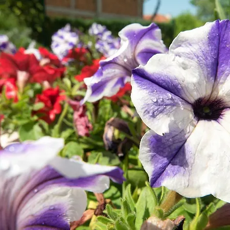 Shahbazian House Апартамент *